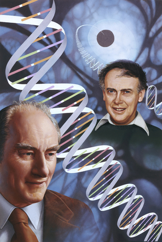 James D. Watson y Francis Crick