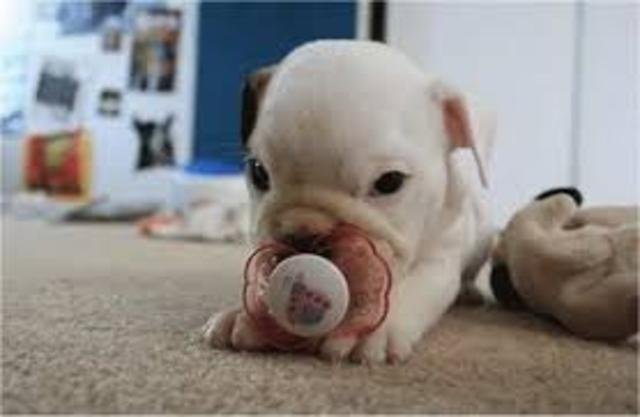 sophia and Angelique's first pacifier