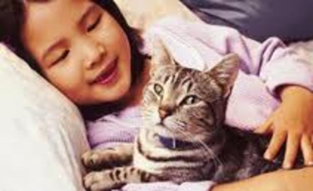 Cuando yo tenía doce años, yo acariciaba a mi gato.