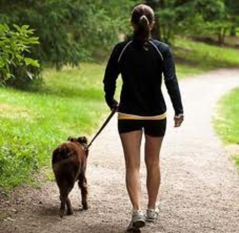 Cuando yo tenía trece años, yo paseaba el perro del vecino.