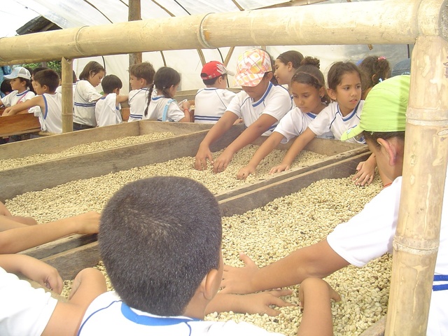 Experiencia en la granja