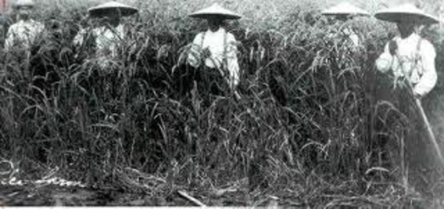 The birth of Yuki Shizuka