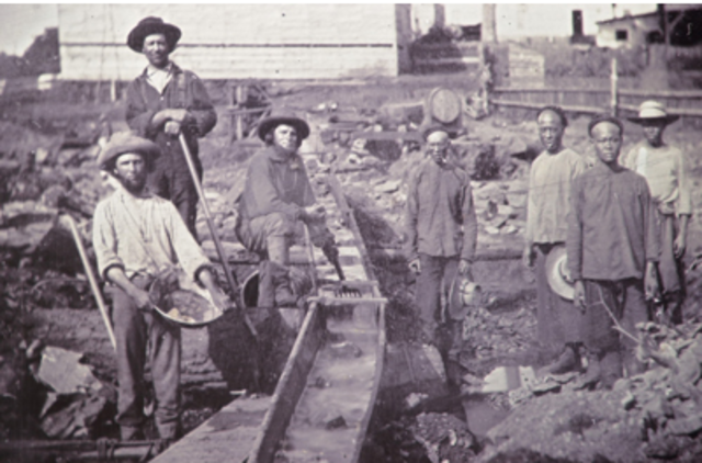 Settling In My New Homeland