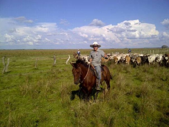 Trabajar en el llano