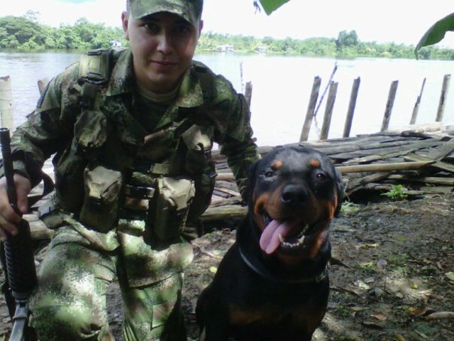 El mejor amigo del hombre