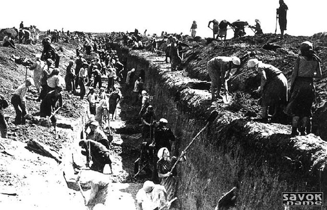 Начало войны