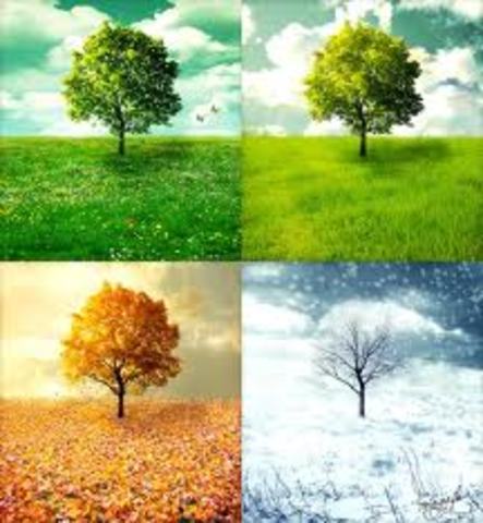 The Four Seasons