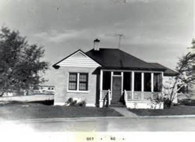 Living with the Woods