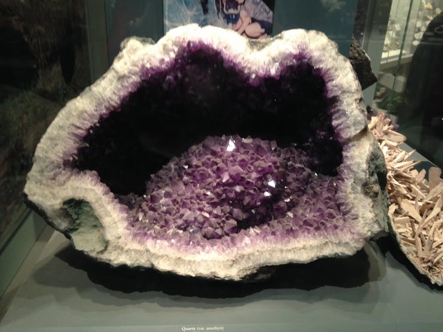 The natiral history musem