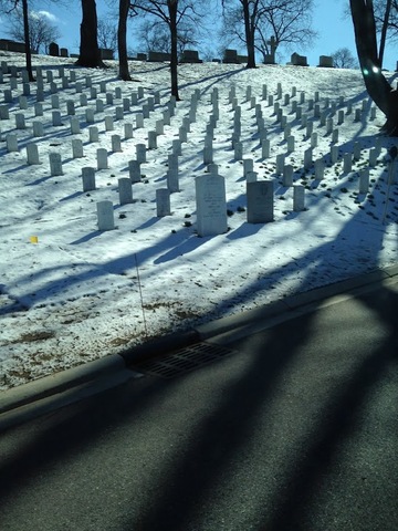 The Arlington national semitarie