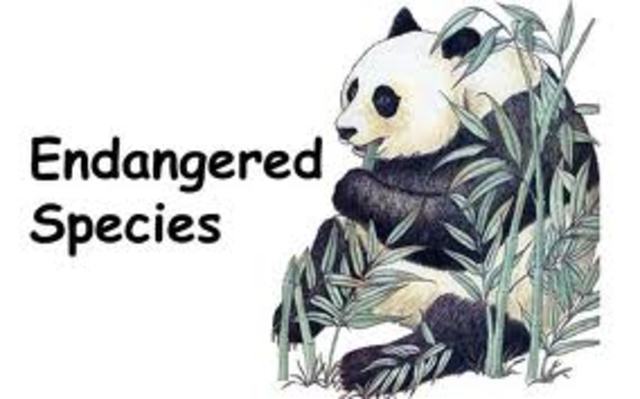 endangere species act