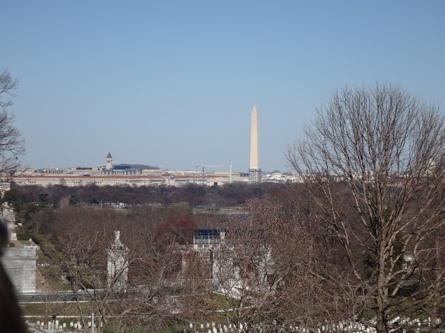 arlington view