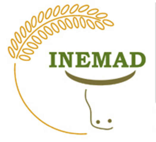 criação da INEMAD