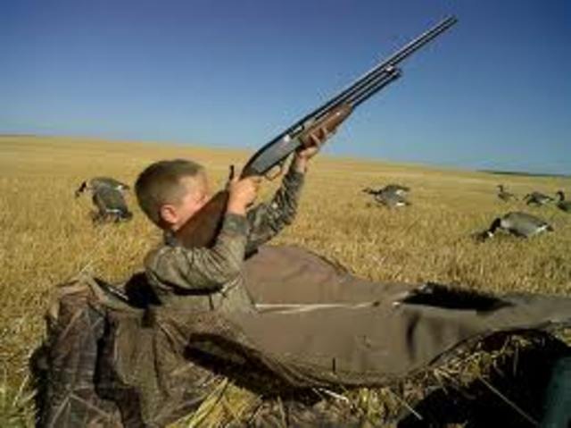 Kat and paul get geese