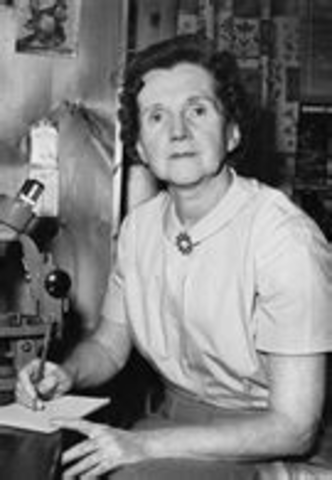 Rachel Carson