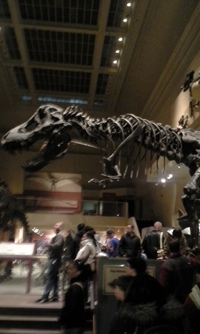 The natioal fossil museum. There you see dinouars bones, ocean animales that lived long-ago, and this nice diamond! Also there lots more cool stuff to look at!