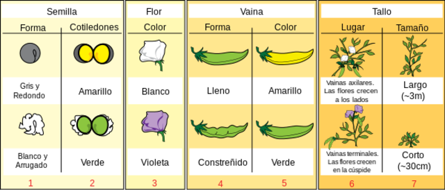 Hibridación de plantas
