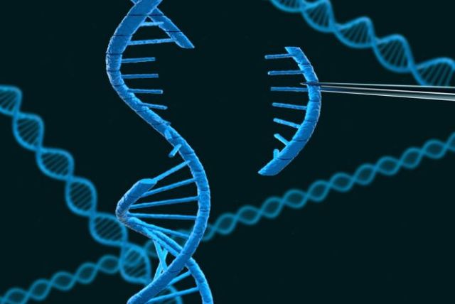 ADN como material genético.