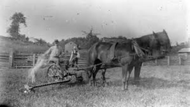 Making Dreams Come True