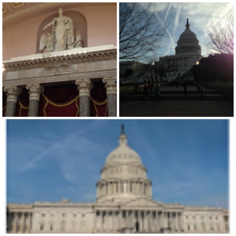 The Capitol Building
