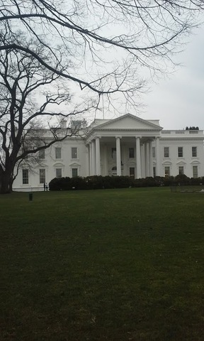 the white house
