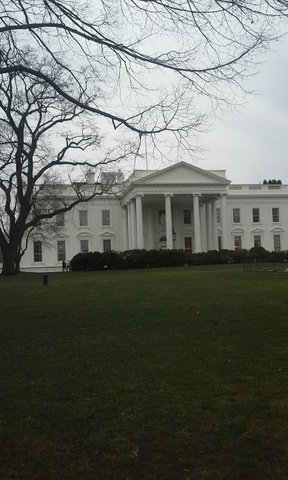 The White House