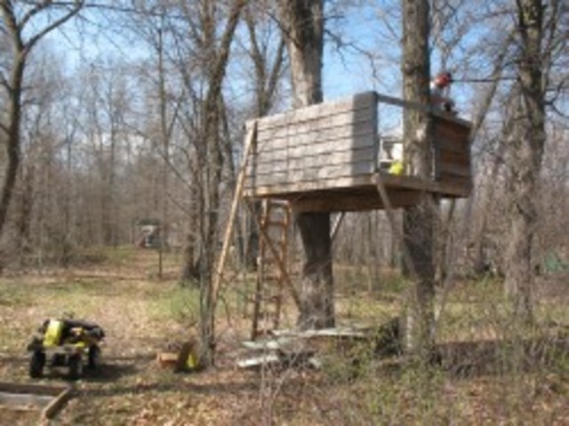 Dad building me a treehouse