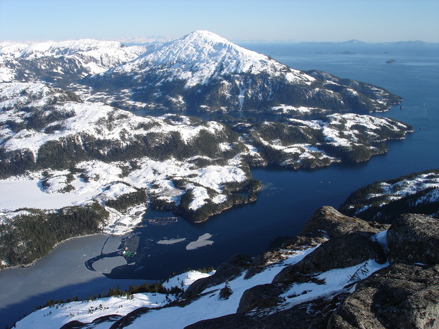 Newfoundland Fishing Rights
