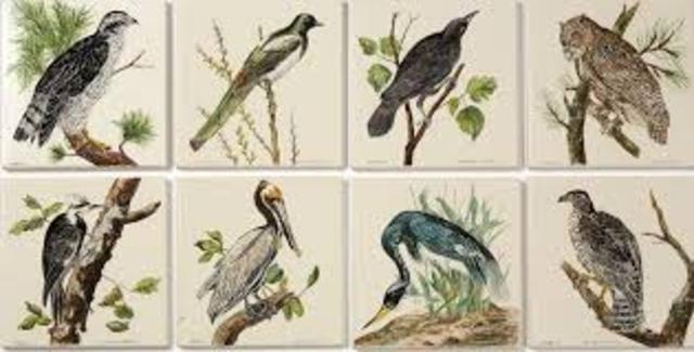 First Edition of Birds of America Published