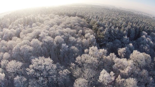 Forest Reserve Act passes Congress.