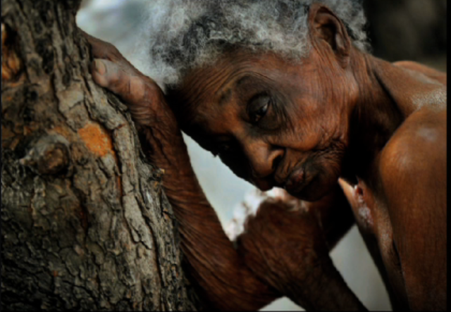 Nikki Kahn wins 1st Pulitzer