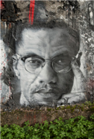 Malcom X Voice of Black Muslim Faith