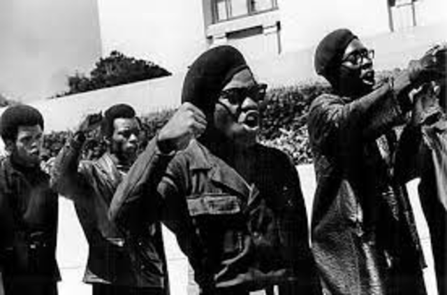 Black Panthers