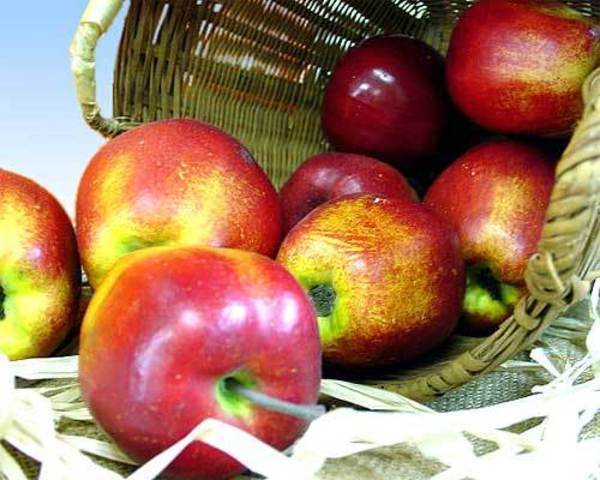 Food Quality Protection Act