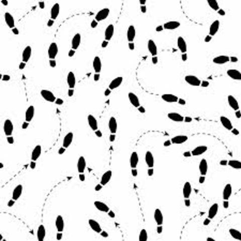 Plan of Service Goals...a race around the room