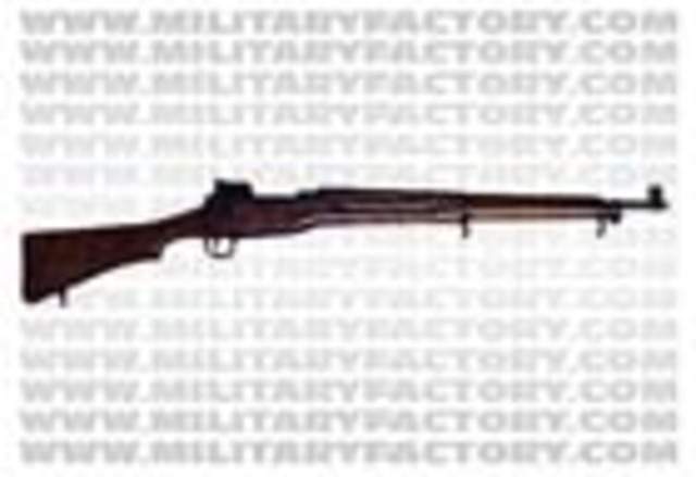 The M1917 Enfield