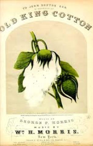 America Leading Cotten Production