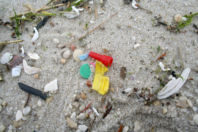 Hypodermics on the Shore