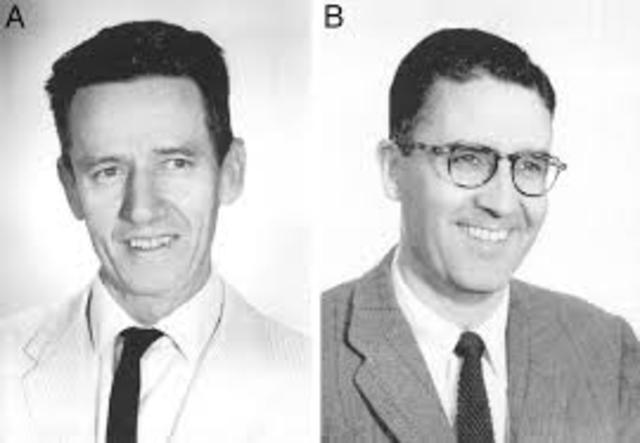 Robert Briggs y Thomas King usan transferencias nucleares de células adulto para clonar ranas.