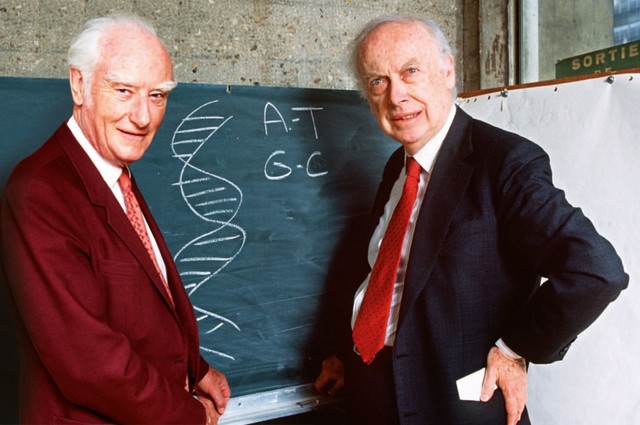 James Watson y Frances Crick proponen la estructura en doble hélice del ADN