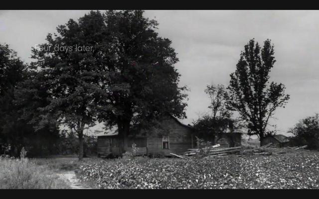 Who were the witnesses and how what did they say?