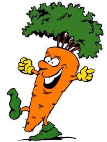 Steward crece la primera zanahoria completa a partir de células completamene diferenciadas de raíces de zanahoria.