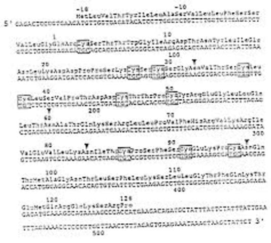 Primera secuenciación del ADN