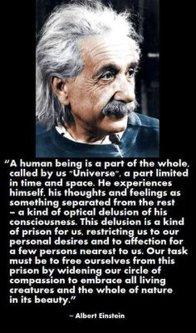 Physical concepts are free creations of the human mind..