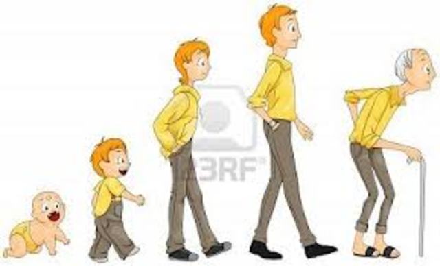 Consolidación de la Psicología Evolutiva