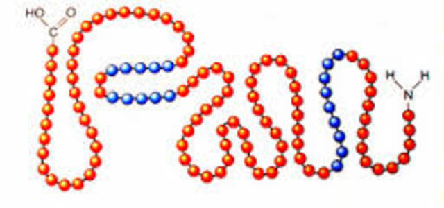 Primera aplicación práctica de la ingeniería genética