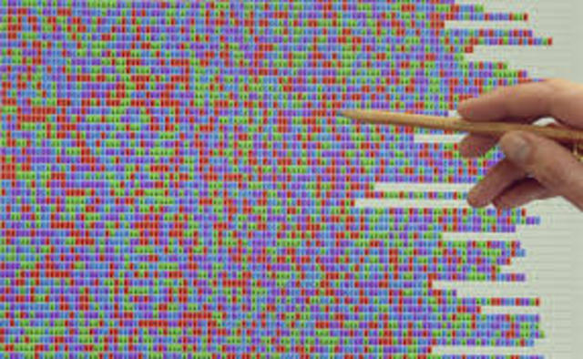 Se completa el genoma de E. coli.