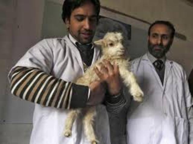 ste proyecto llega a los medios de comunicación y tiene mucha repercusión.