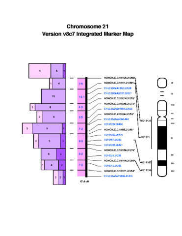 Secuencia completa del cromosoma humano 21.