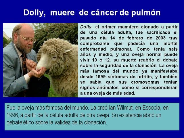 Muerte de Dolly